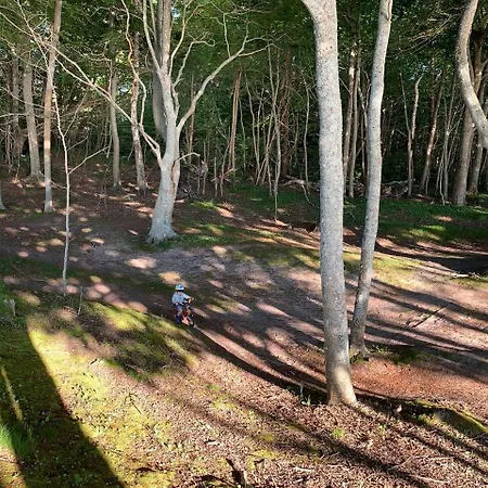 Debina Spot Debina (Ustka)