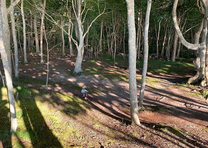 Debina Spot Debina (Ustka)